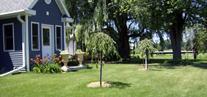 Services Local Areas Sod Business