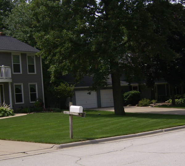 Additional Sod Maintenance Tips