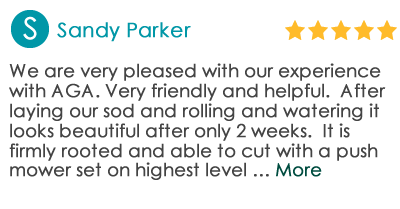 5-Star Google Review