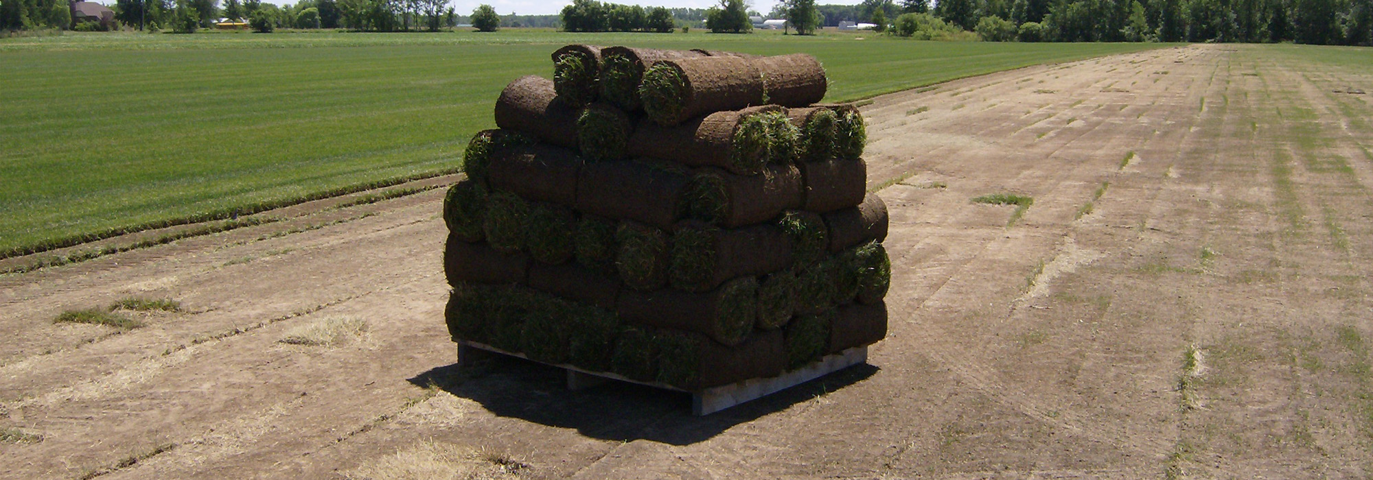 Sod Installation Services