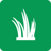 Sod Farm Since 1990
